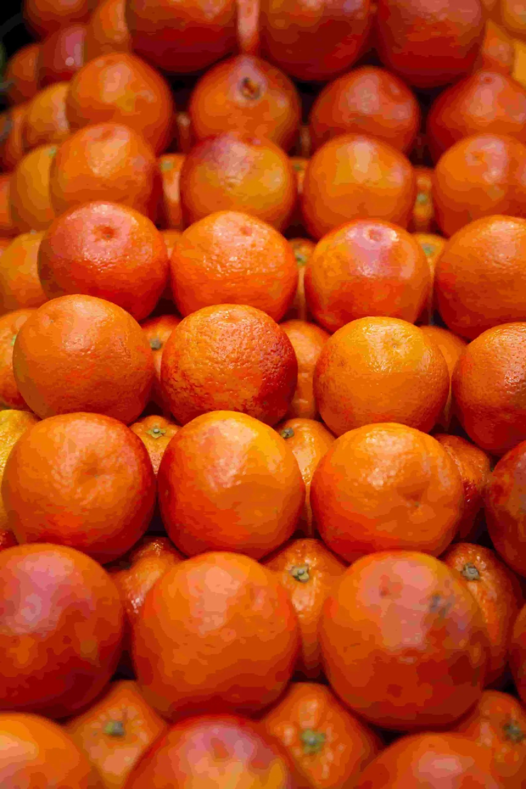 BLOOD ORANGES
